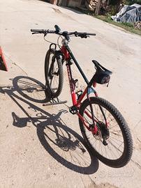 mtb bottecchia
