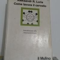 COME LAV0RA IL CERVELLO (NEUROPSICOLOGIA) DI LURIA