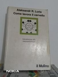 COME LAV0RA IL CERVELLO (NEUROPSICOLOGIA) DI LURIA