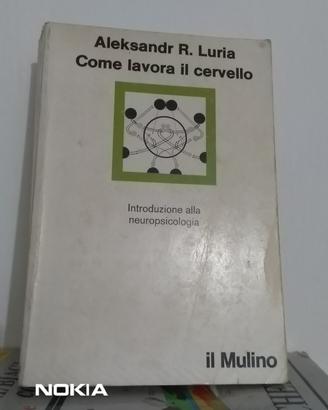 COME LAV0RA IL CERVELLO (NEUROPSICOLOGIA) DI LURIA