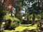 Immagine 26