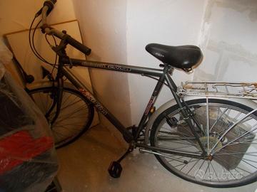 BICICLETTA ESPERIA 6600 DEMON
