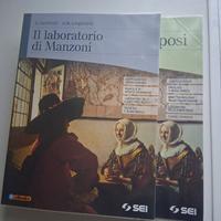 il laboratorio di manzoni + i promessi sposi