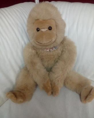 Scimpanzé peluche