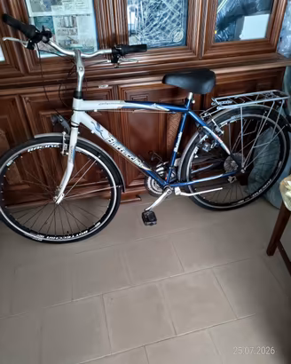 bicicletta