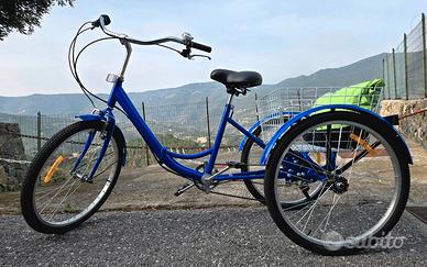 Bicicletta tre ruote + bici classica