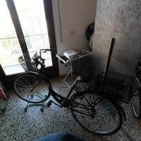 Bici Denver City & Trekking