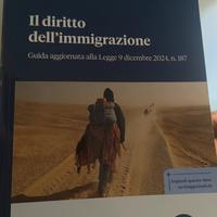 Il diritto dell'immigrazione 
