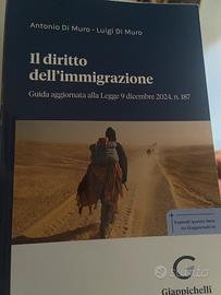 Il diritto dell'immigrazione 