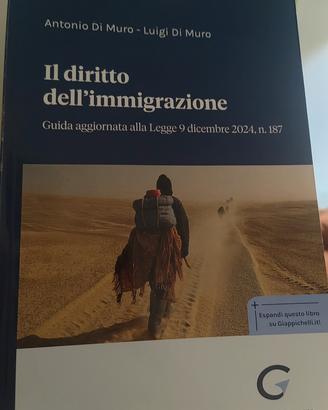 Il diritto dell'immigrazione 