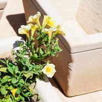 VASI IN PIETRA LECCESE - Arredo ambienti rustici