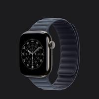 Cinturino originale Apple Watch