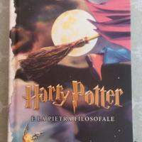 Harry Potter e la Pietra Filosofale - Salani