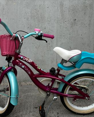 Bicicletta Bambina 4/6 anni