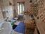 Immagine 16