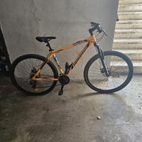 Mountain bike logan legnano