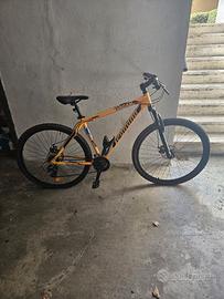 Mountain bike logan legnano