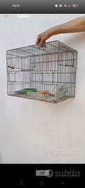 Gabbia uccelli