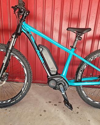 Bicicletta elettrica