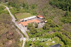 STRUTTURA RICETTIVA CON AREA SCOPERTA