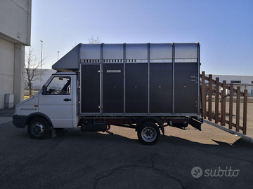 Van Trasporto cavalli