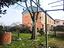 Immagine 12