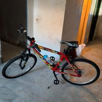 Bicicletta
