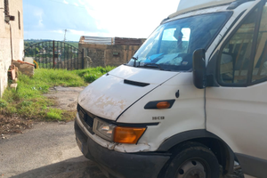 Iveco daily