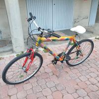 Bici Mountain Bike