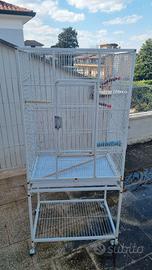 Gabbia piccoli pappagalli