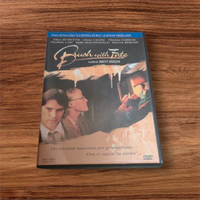 La finestra di vermeer il destino del dipinto dvd
