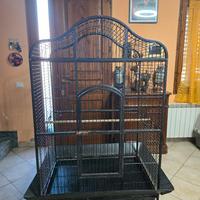 Voliera Pappagall