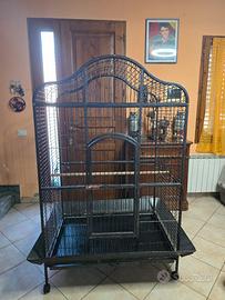 Voliera Pappagall