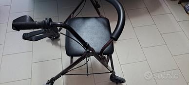 Carrello deambulatore 