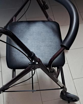 Carrello deambulatore 