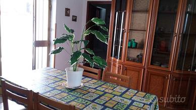 Appartamento piano terra con posto auto riservato