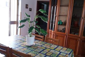 Appartamento piano terra con posto auto riservato