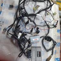 Centralina  rapid bike e prolunga r1 2015-2019