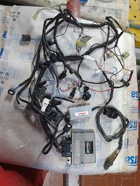 Centralina  rapid bike e prolunga r1 2015-2019