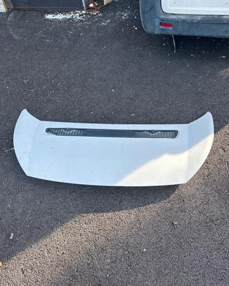 cofano anteriore, Fiat scudo
