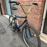 Bici MTB Custom