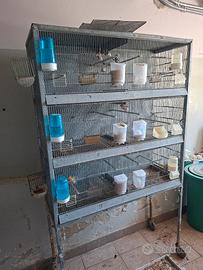 batteria di gabbie 