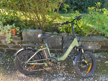 ULZOMO DOLPHIN ENGWE