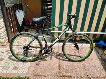 bici Mountain bike Kawasaki 