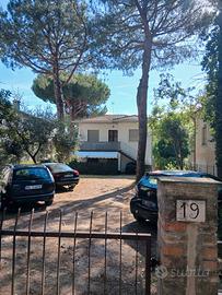 Milano Marittima - Agosto 2026