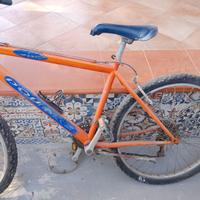 mountain bike bici