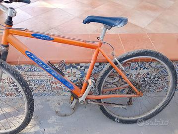 mountain bike bici