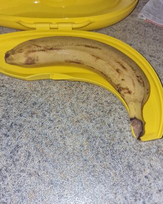 porta banana Tupperware