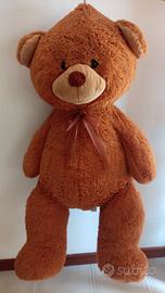 Orso di peluche 