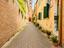 Immagine 19